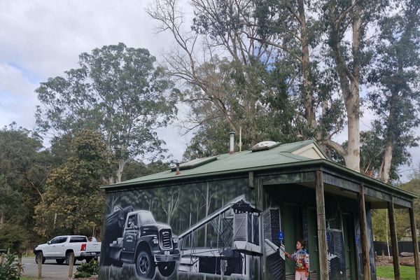 Noojee River Reserve