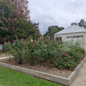 Photo of Baum Park Reserve