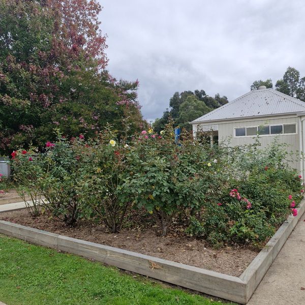 Baum Park Reserve