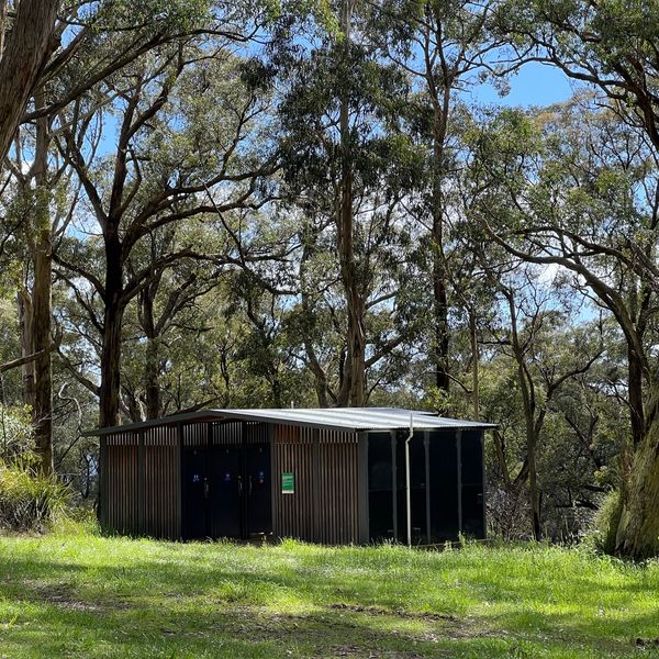 One Tree Hill Picnic Ground