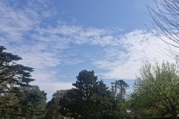Sale Botanic Gardens