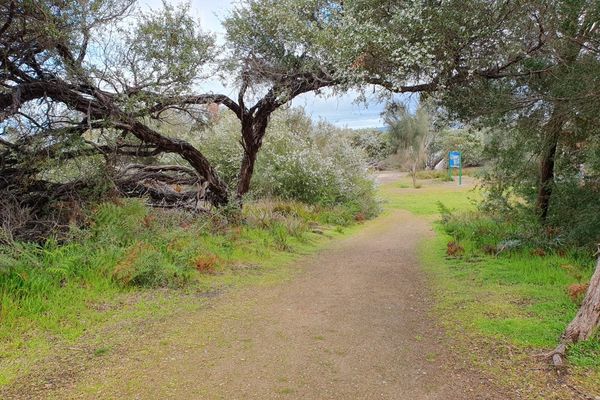 French Island National Park - Fairhaven