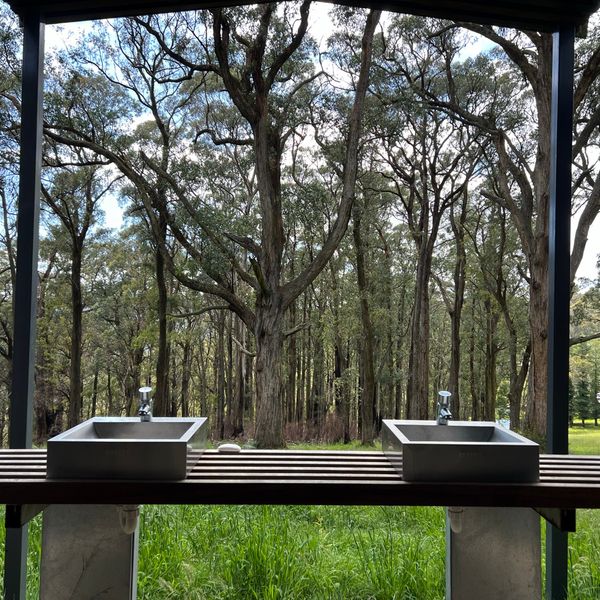 One Tree Hill Picnic Ground