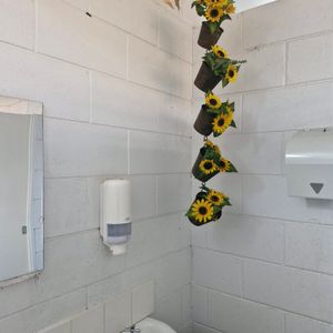 Photo of Burra Showground Dump Point