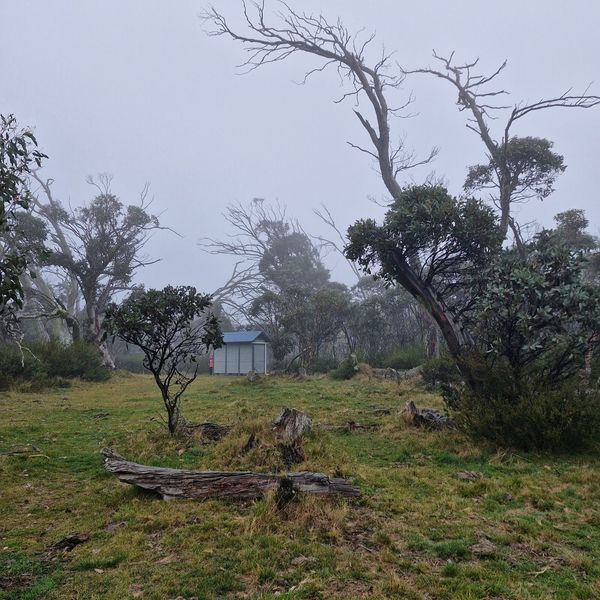 Refuge Hut